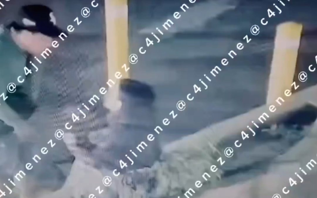 Omar, presunto policía federal, agrede a su novia y confronta a joven que lo denuncia